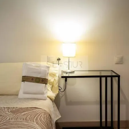 Lejlighed Ruedo By Silastur Avilés